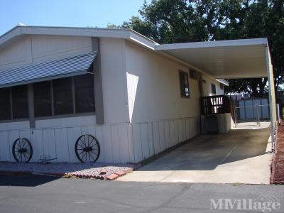 Photo 2 of 11 of park located at 1595 Manzanita Avenue Chico, CA 95926