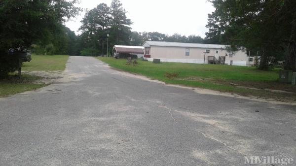 Photo 1 of 2 of park located at 43 Arnold Estates Hawkinsville, GA 31036