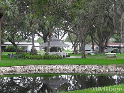 Photo 5 of 10 of park