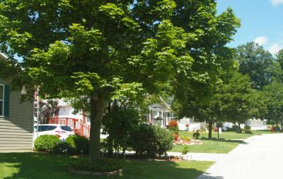 Photo 5 of 22 of park located at 599 Oak Lodge Rd. Waterford, WI 53185