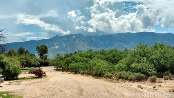 Photo 1 of 2 of park located at 3830 East Hawser Tucson, AZ 85739