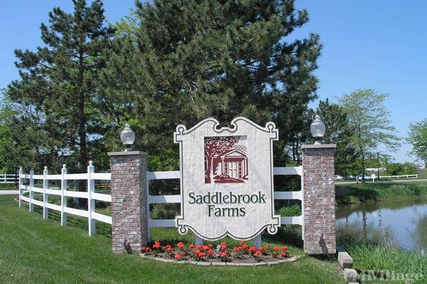 Photo of Saddlebrook Farms, Grayslake IL