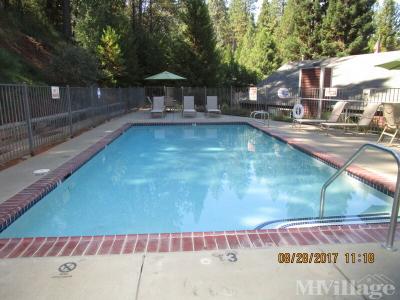 Photo 3 of 27 of park located at 13960 Golden Star Road Grass Valley, CA 95949