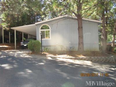 Photo 4 of 27 of park located at 13960 Golden Star Road Grass Valley, CA 95949
