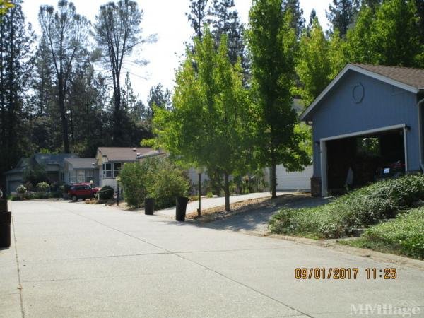 Photo of Shady Glen Mobile Home Park, Colfax CA