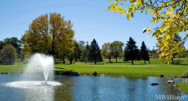 Photo of Cimarron Park & Golf, Lake Elmo MN