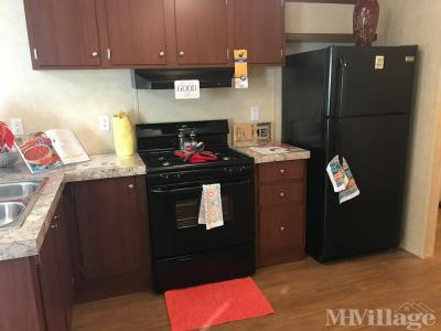 Photo 2 of 5 of park