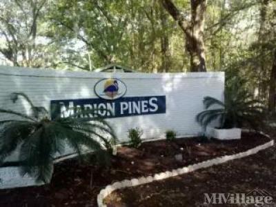 Photo 2 of 24 of park located at 2828 NE 49th Avenue Ocala, FL 34470
