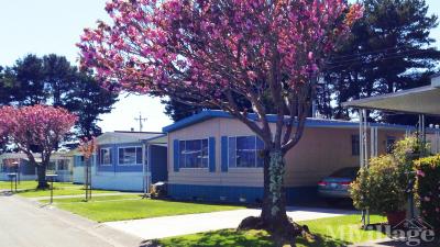 Mobile Home Park in Arcata CA