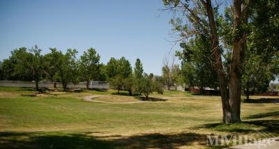 Photo 3 of 15 of park