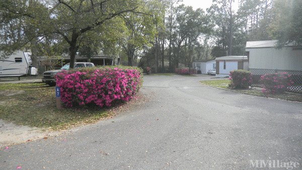 Photo of City RV & Mobile Home Park, Mobile AL
