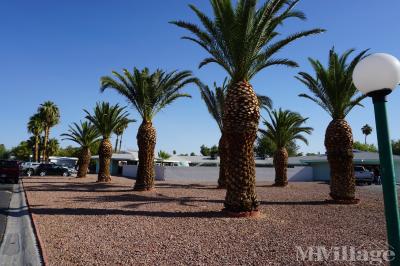 Palm Grove Mobile Home Park Mobile Home Park in Las Vegas, NV | MHVillage