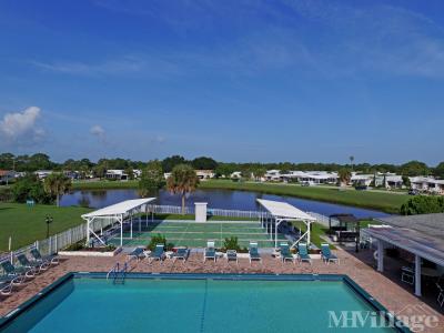 Photo 4 of 19 of park