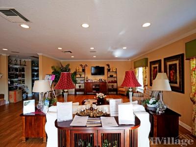 Photo 5 of 19 of park