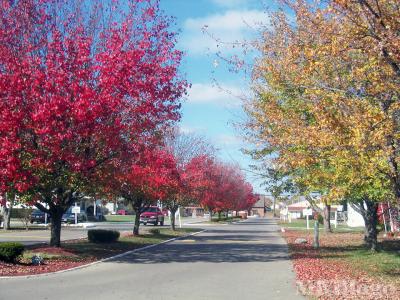 Photo 2 of 14 of park located at 8600 Cincinati Columbus Rd West Chester, OH 45069