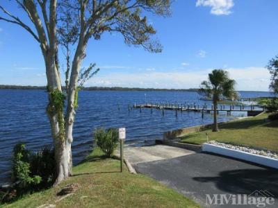 Photo 4 of 10 of park located at 38791 Us Highway 19 North Tarpon Springs, FL 34689