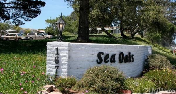 Photo of Sea Oaks, Los Osos CA