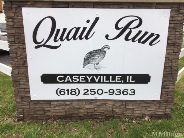 Photo of Quail Run of Caseyville, Caseyville IL