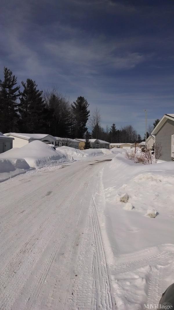 Hidden Forest Mobile Home Park in Ludington, MI MHVillage