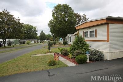 Mobile Home Park in Montour Falls NY