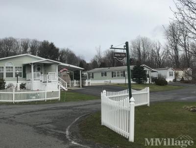 Photo 3 of 8 of park located at 32 Country Estates South Cairo, NY 12482