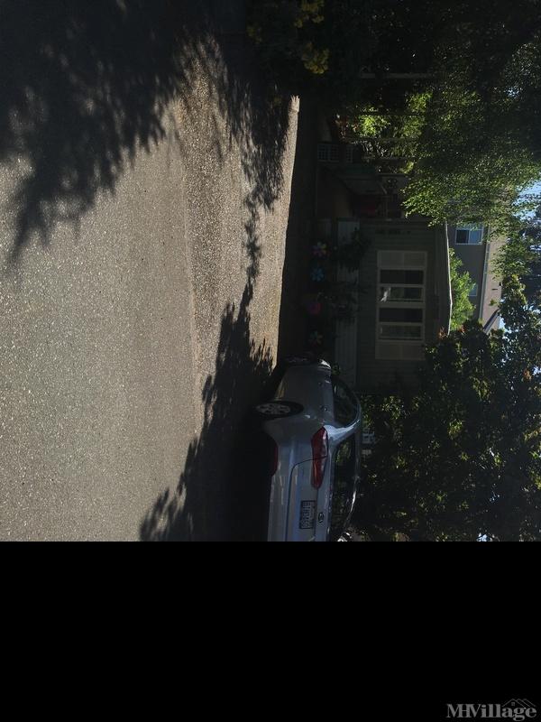 Lakewood Villa Mobile Home Park in Kenmore, WA MHVillage