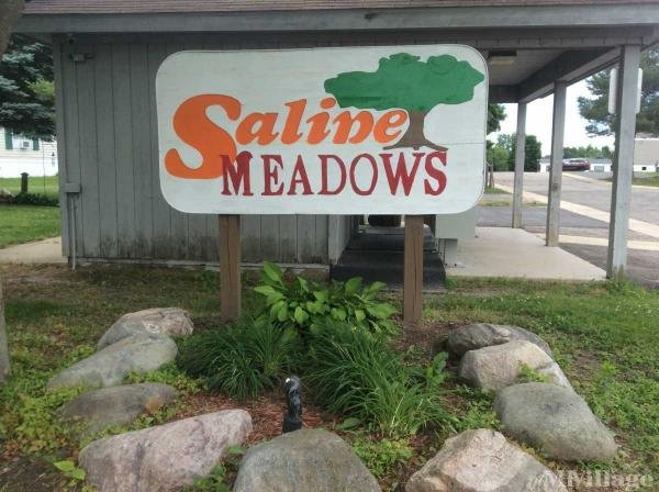 Photo of Saline Meadows, Saline MI