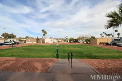 Photo 5 of 18 of park located at 9431 East Coralbell Avenue Mesa, AZ 85208