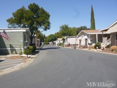 Mobile Home Park in Esparto CA