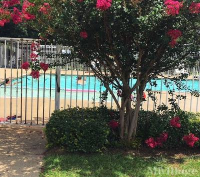 Photo 3 of 4 of park located at 3101 State Highway 31 E Tyler, TX 75702
