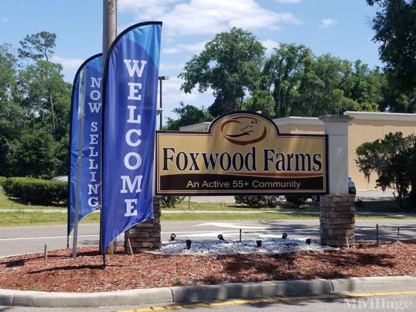 Photo of Foxwood Farms, Ocala FL