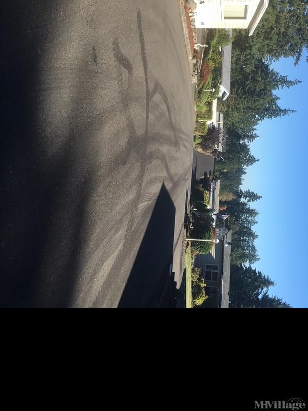 Canyon Terrace Mobile Estates Mobile Home Park in Puyallup, WA MHVillage