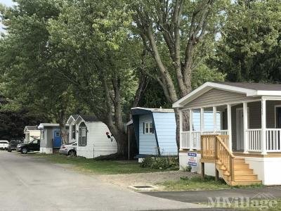 Mobile Home Park in East Aurora NY