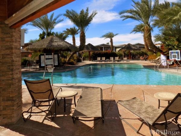 Photo of The Palms River Resort, Needles CA