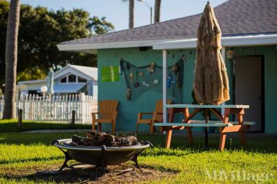 Photo 2 of 4 of park located at 2946 Gulf To Bay Blvd Clearwater, FL 33759