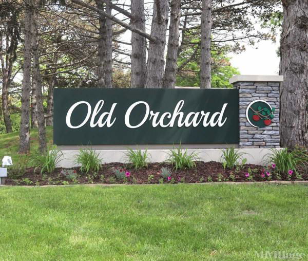 Photo of Old Orchard, Davison MI