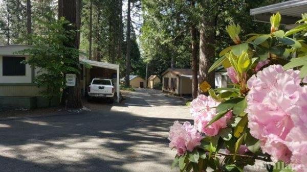 Photo of Bonanza Mobile Home Park, Pollock Pines CA
