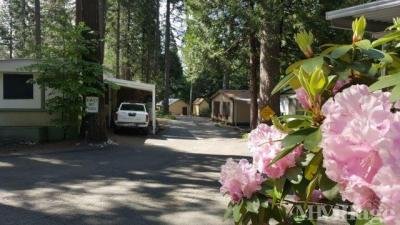Mobile Home Park in Pollock Pines CA
