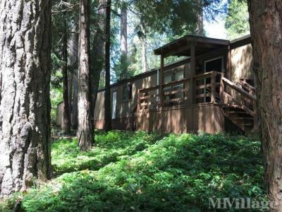 Photo 5 of 17 of park located at 5840 Pony Express Trail Pollock Pines, CA 95726