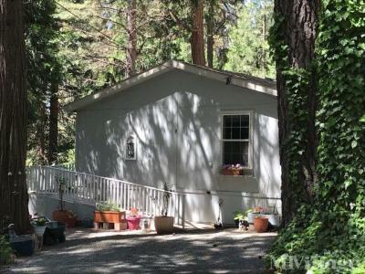 Photo 4 of 17 of park located at 5840 Pony Express Trail Pollock Pines, CA 95726