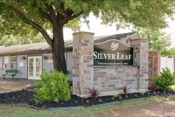 Photo of Silver Leaf, Mansfield TX