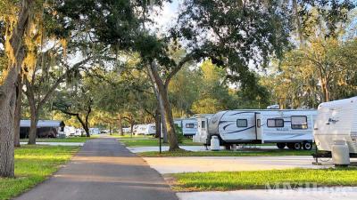 Photo 5 of 12 of park located at 5551 SW 18th Terrace Bushnell, FL 33513