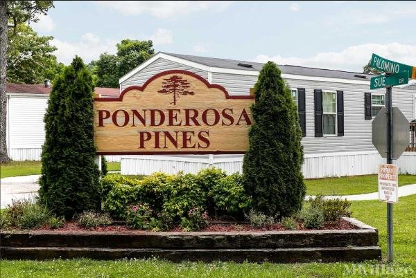 Photo of Ponderosa Pines, Ooltewah TN