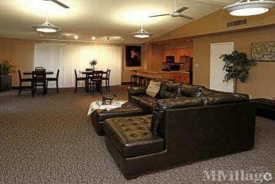 Photo 4 of 34 of park