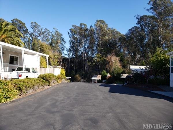 Photo 1 of 2 of park located at 5470 Soquel Drive Soquel, CA 95073