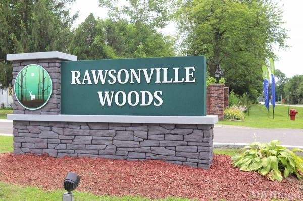 Photo of Rawsonville Woods, Belleville MI