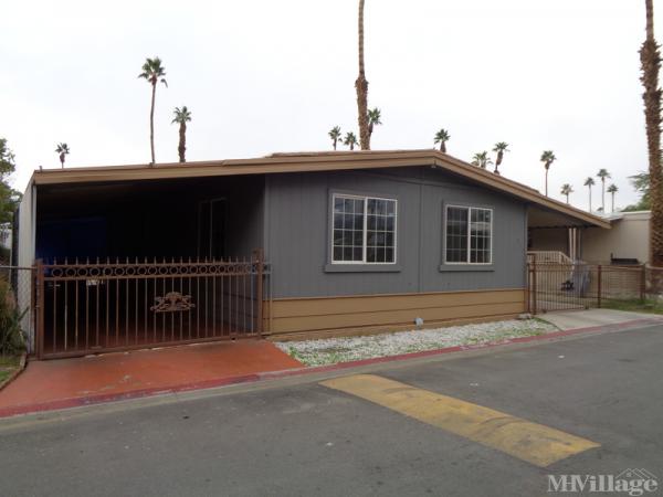 Arabian Gardens Mhe Mobile Home Park In Indio Ca Mhvillage Arabian Gardens Mhe Mobile Home Park In Indio Ca Mhvillage