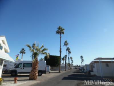 Mobile Home Park in Yuma AZ