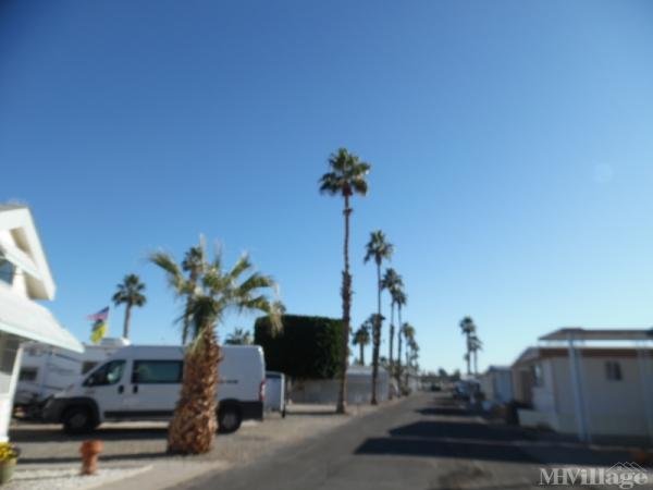 Photo of Glenaire Mobile Home and RV Park, Yuma AZ