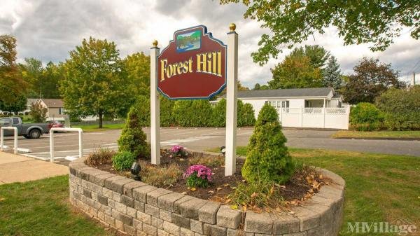 Photo of Forest Hill, Southington CT